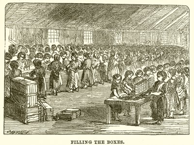 Filling the Boxes by English School