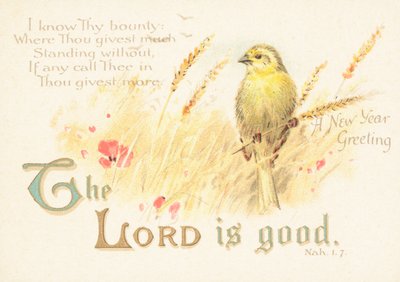 Finch with Corn by English School