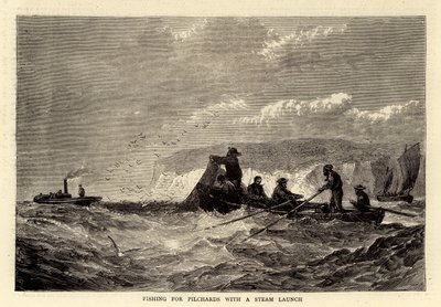 Fishing for Pilchards with a Steam Launch by English School