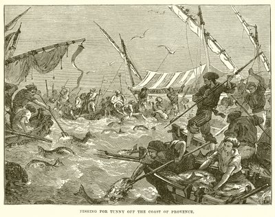 Fishing for Tunny off the Coast of Provence by English School