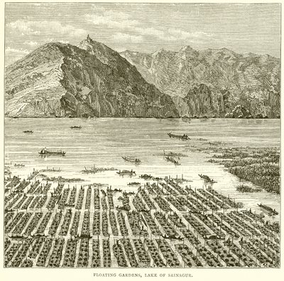 Floating Gardens, Lake of Srinagar by English School