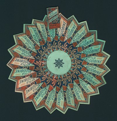 Flower Made Out of Old Cigarette Boxes by English School