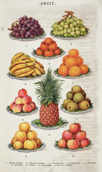 Fruit, from 