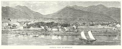 General View of Honolulu by English School