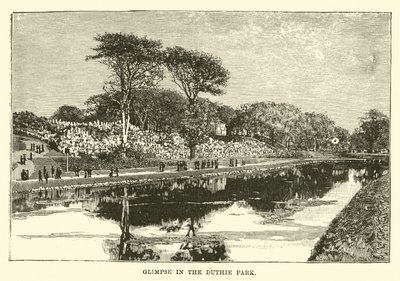 Glimpse in the Duthie Park by English School