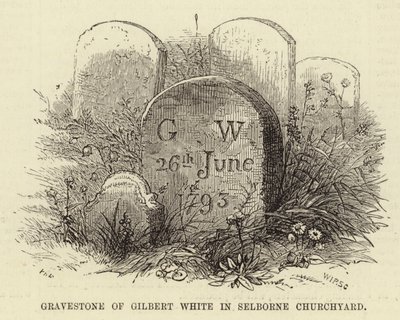 Gravestone of Gilbert White in Selborne Churchyard by English School