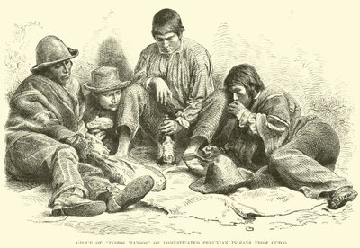 Group of Indios Mansos, or Domesticated Peruvian Indians from Cuzco by English School