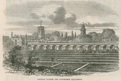 Hackney Station and Watercress Plantation, London by English School