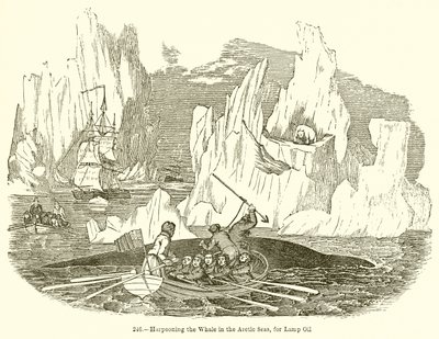 Harpooning the Whale in the Arctic Seas, for Lamp Oil by English School