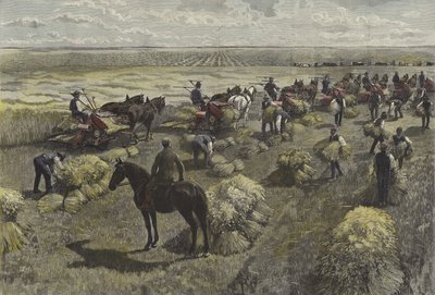 Harvesting wheat on the North American plains by English School