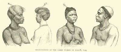 Head-dresses of the Cammi women of Fernao Vaz by English School