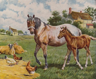 Horse and Foal, Sheep and Hens by English School