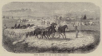 Horses Treading Out Corn in the Roman Campagna by English School