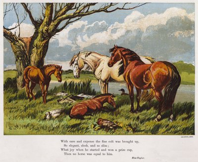 Horses with a young colt on a riverbank by English School