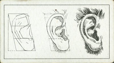 How to Sketch: The Ear by English School