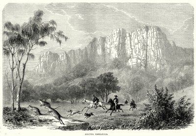 Hunting Kangaroos by English School
