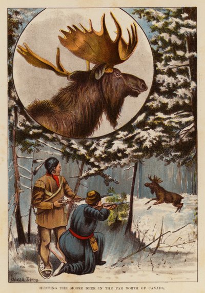 Hunting the moose deer in the far north of Canada by English School