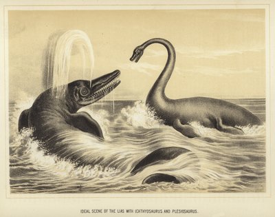 Ideal scene of the Lias with Ichthyosaurus and Plesiosaurus by English School