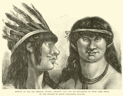 Indians of the Rio Oermejo (Brazil), showing ear and lip ornaments in wood, like those of the Hydahs in Queen Charlotte Islands by English School