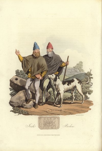 Irish Brehons by English School