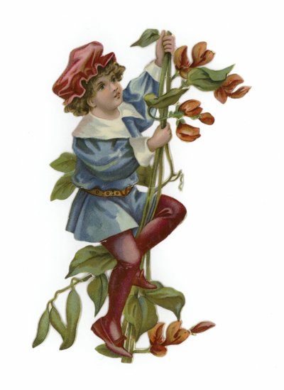 Jack and the Beanstalk by English School