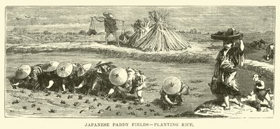 Japanese Paddy Fields, Planting Rice by English School