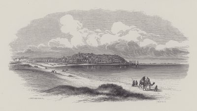 Joppa by English School
