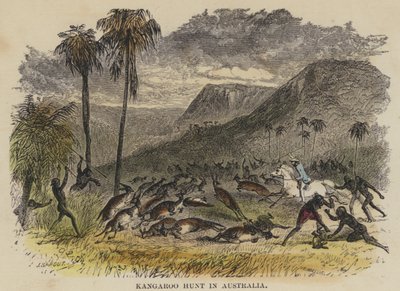 Kangaroo Hunt in Australia by English School
