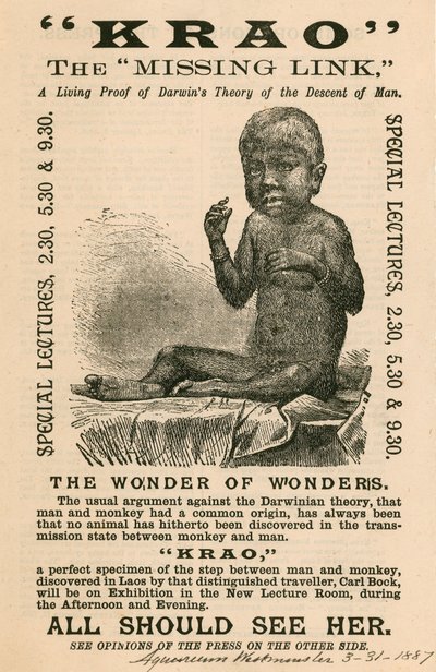 Krao, The Missing Link, exhibited at the Aquarium, Westminster, London, in 1887 by English School