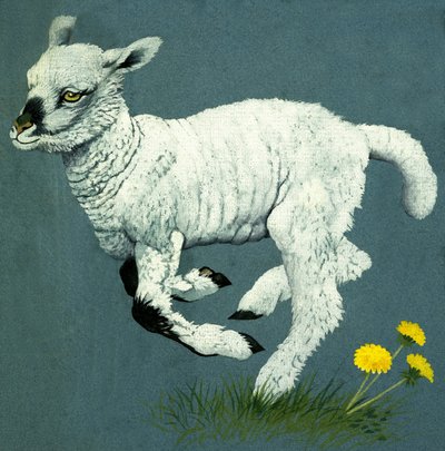 Lamb by English School