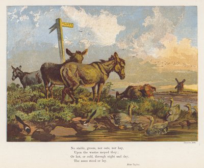 Landscape with donkeys and birds by English School