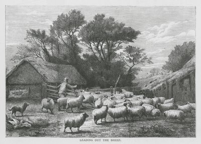Leading Out the Sheep by English School