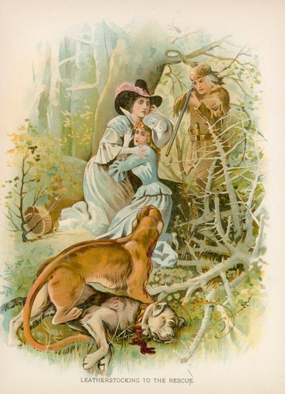 Leatherstocking to the Rescue by English School