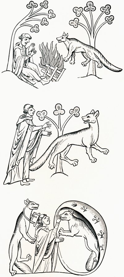 Legend of the priest and people changed into were-wolves, from 
