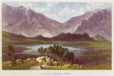Little Langdale Tarn by English School