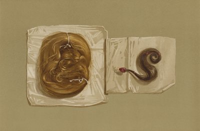 Lock of Hair of Mary Queen of Scots, Lock of Hair of King Charles I by English School