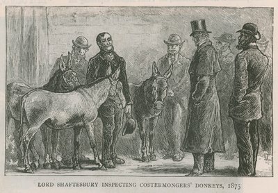 Lord Shaftesbury inspecting costermongers donkeys by English School