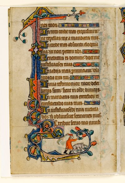 A Swineherd Knocking Down Acorns for a Pig, Marginal Decoration from the Macclesfield Psalter, Use of Sarum, East Anglia (c.1330) by English School