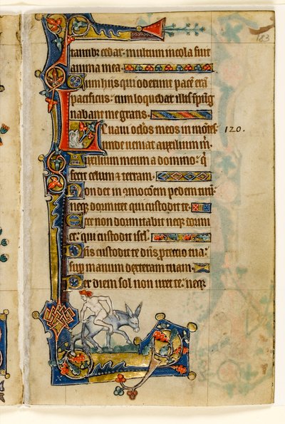 A Man Riding Backwards, Marginal Decoration from the Macclesfield Psalter, Use of Sarum, East Anglia (c.1330) by English School