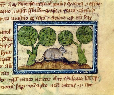 A cat crouching on a mound of earth (detail) by English School