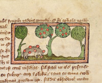 A hedgehog picking apples (detail) by English School
