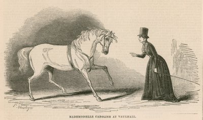 Mademoiselle Caroline at Vauxhall Gardens, London by English School