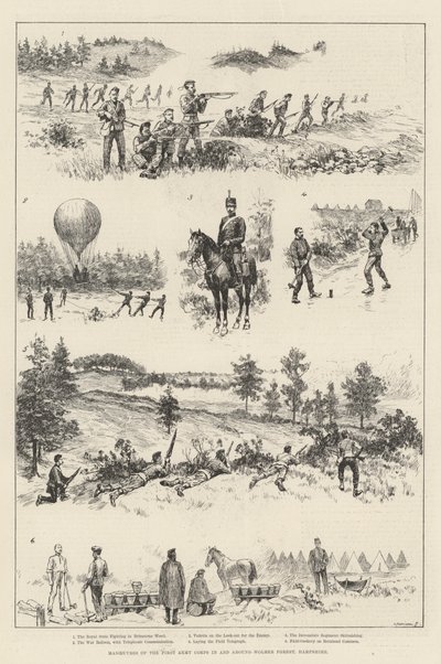 Manoeuvres of the First Army Corps in and around Wolmer Forest, Hampshire by English School