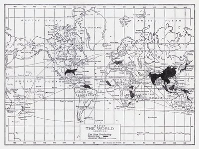 Map of the world showing the rice producing countries by English School