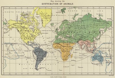Map Showing the Distribution of Animals by English School