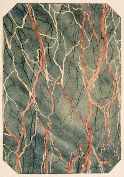 Marbling Effects: Page from a Victorian Pattern Book by English School