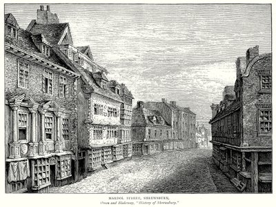 Mardol Street, Shrewsbury by English School