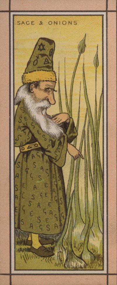 Menu illustration: Sage and onions by English School