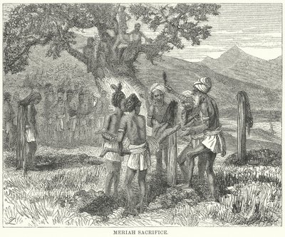 Meriah Sacrifice (engraving) by English School