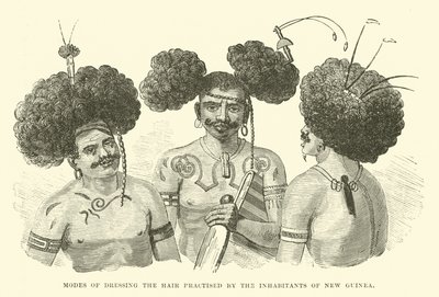 Modes of Dressing the Hair Practised by the Inhabitants of New Guinea by English School